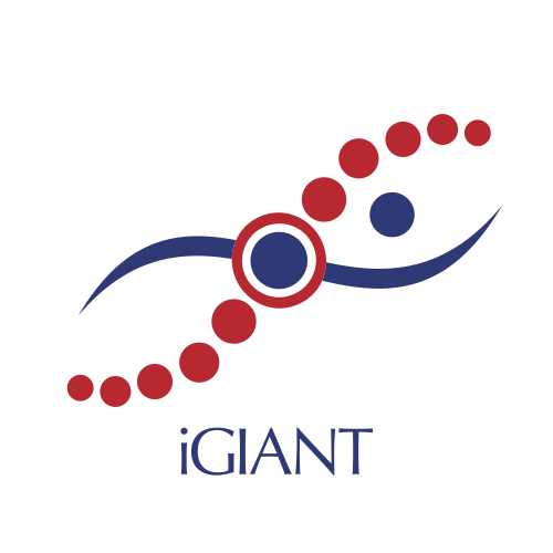 iGIANT logo crop